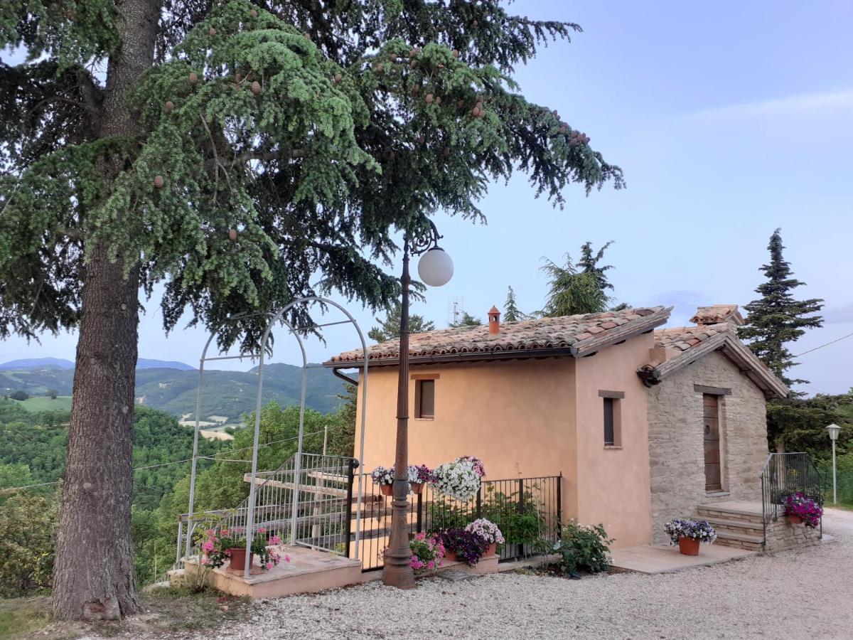 Ca' Gulino - Urbino - Villa Con Minipiscina In Borgo Antico Dış mekan fotoğraf
