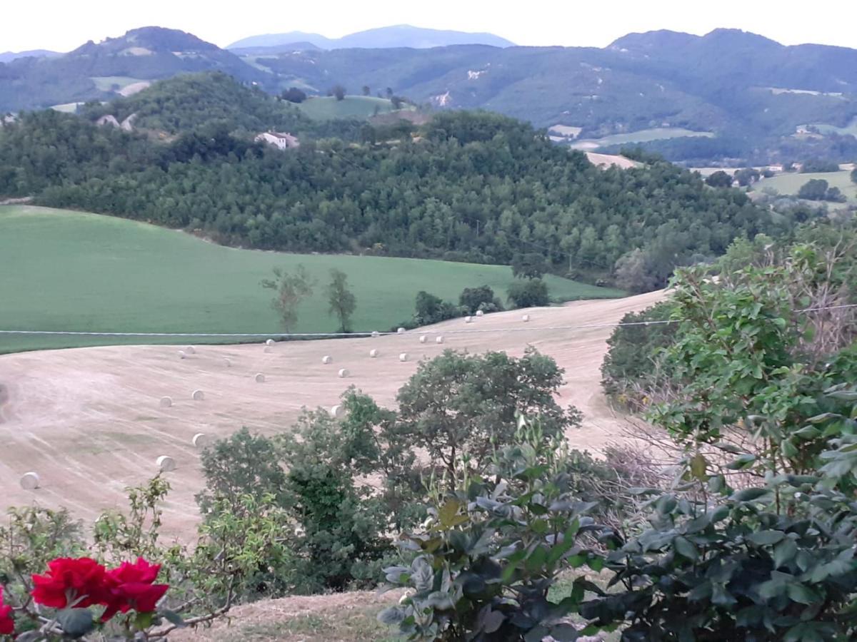 Ca' Gulino - Urbino - Villa Con Minipiscina In Borgo Antico Dış mekan fotoğraf