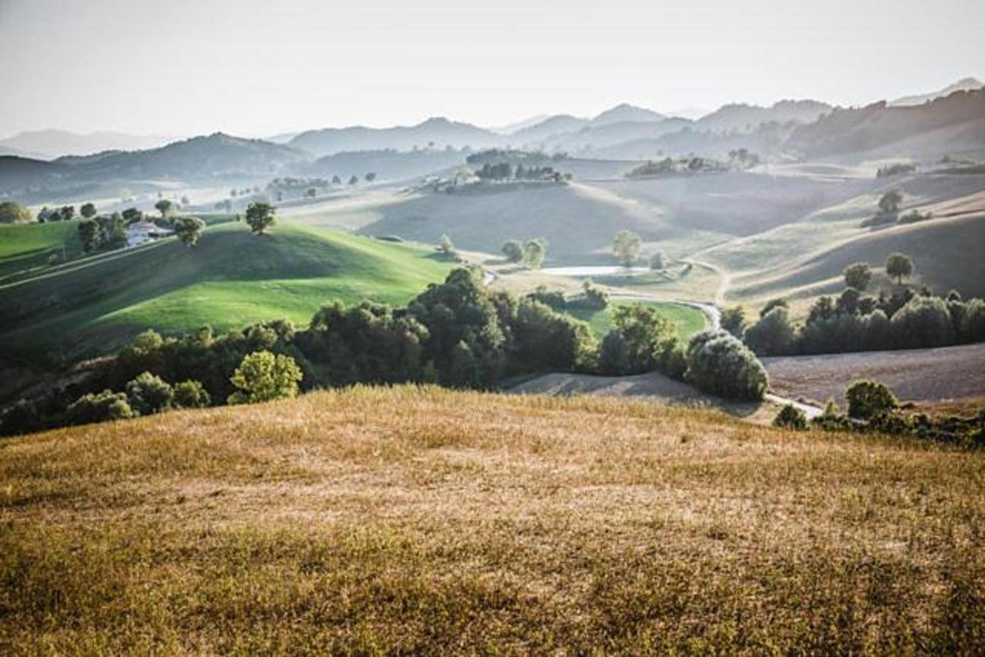 Ca' Gulino - Urbino - Villa Con Minipiscina In Borgo Antico Dış mekan fotoğraf